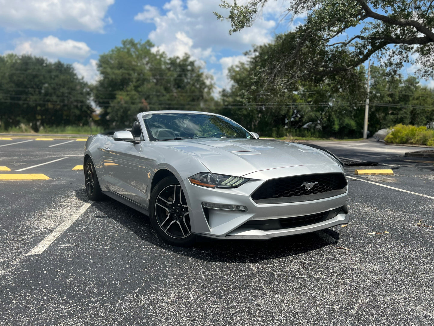 2019 FORD MUSTANG