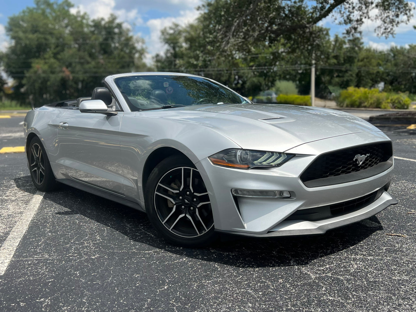 2019 FORD MUSTANG