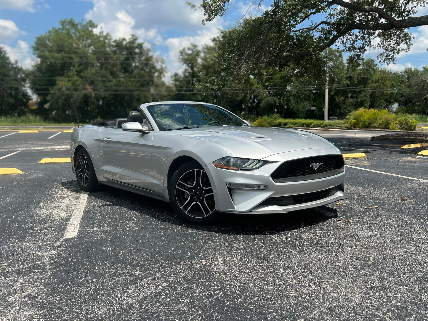 2019 FORD MUSTANG