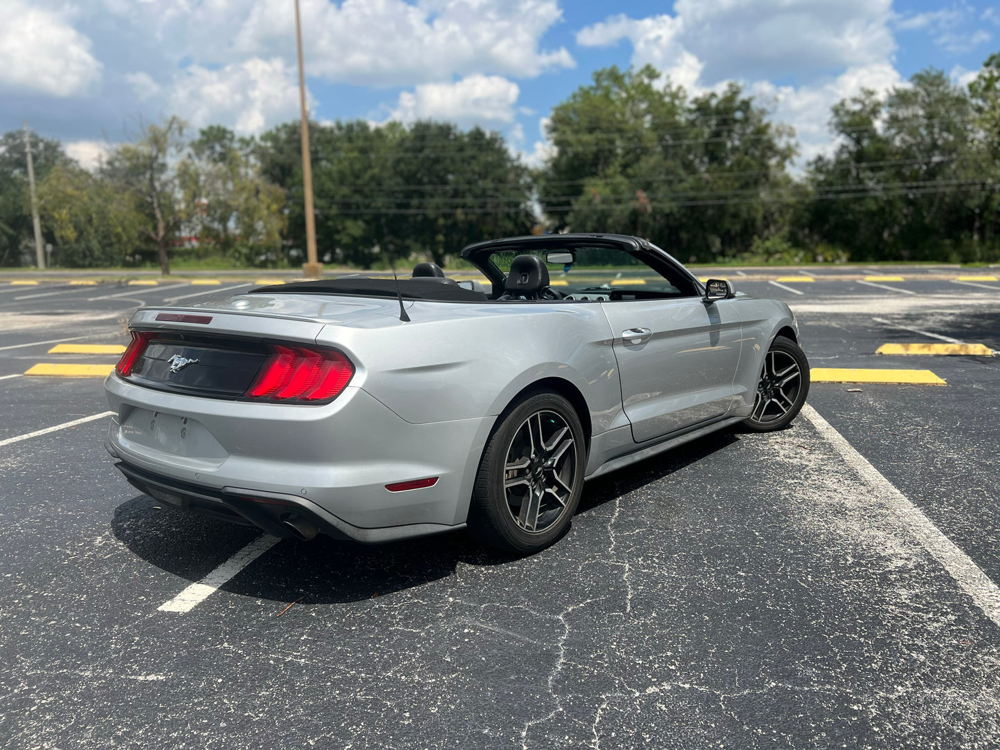 2019 FORD MUSTANG