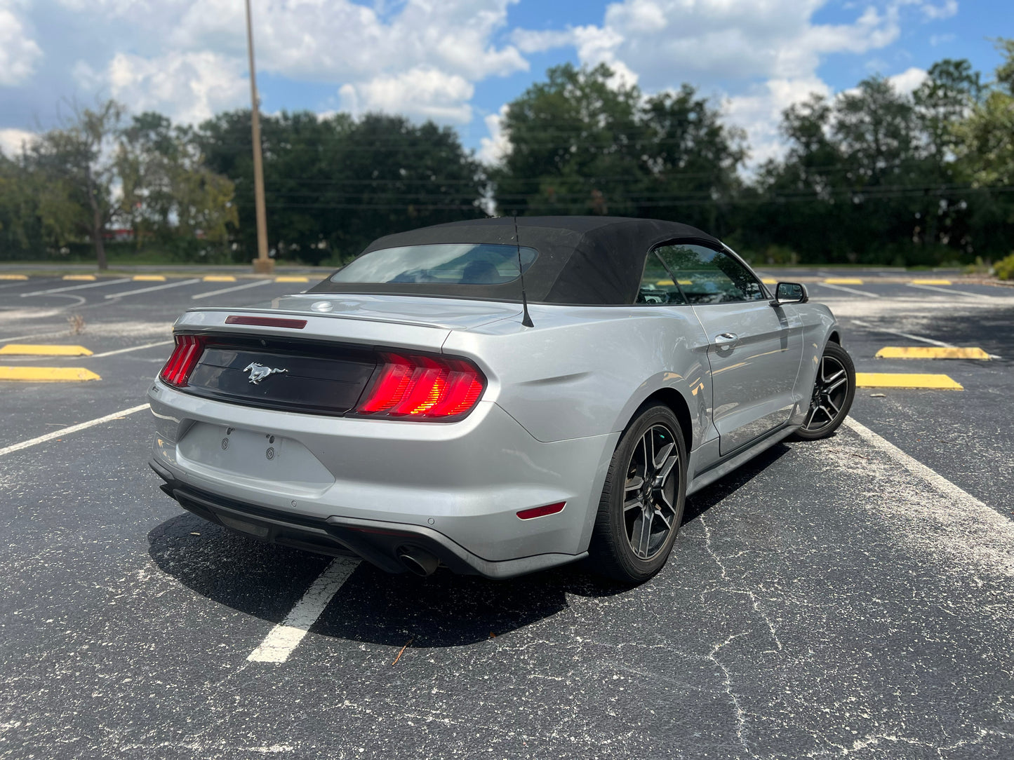2019 FORD MUSTANG