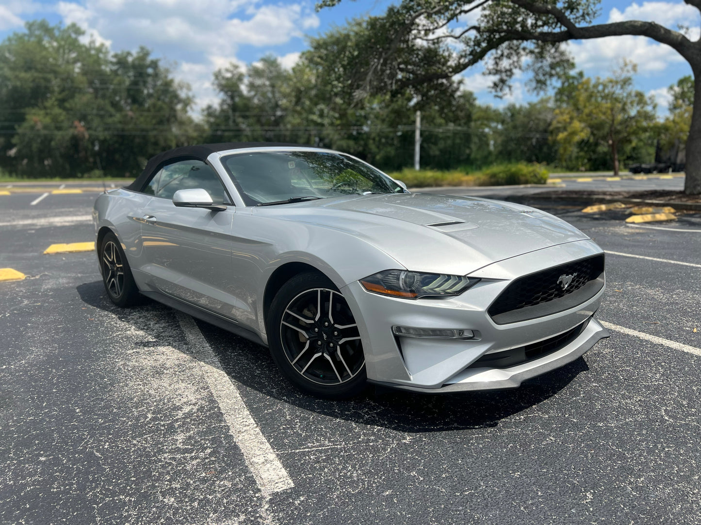 2019 FORD MUSTANG