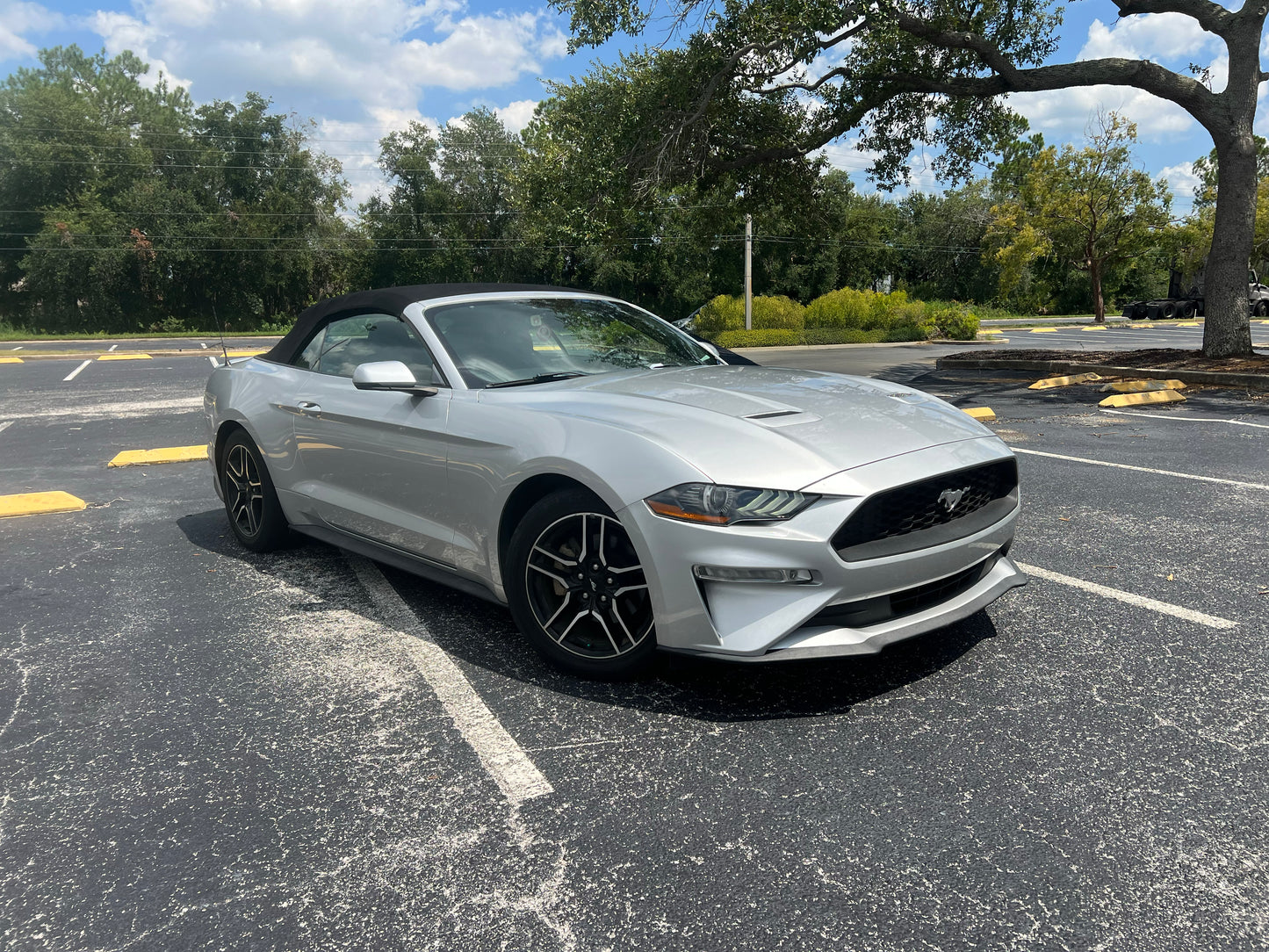 2019 FORD MUSTANG