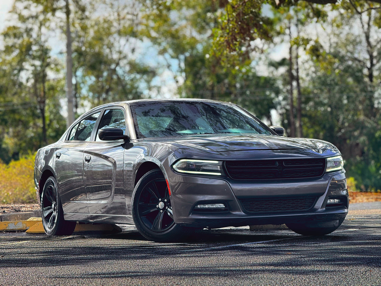 2017 DODGE CHARGER